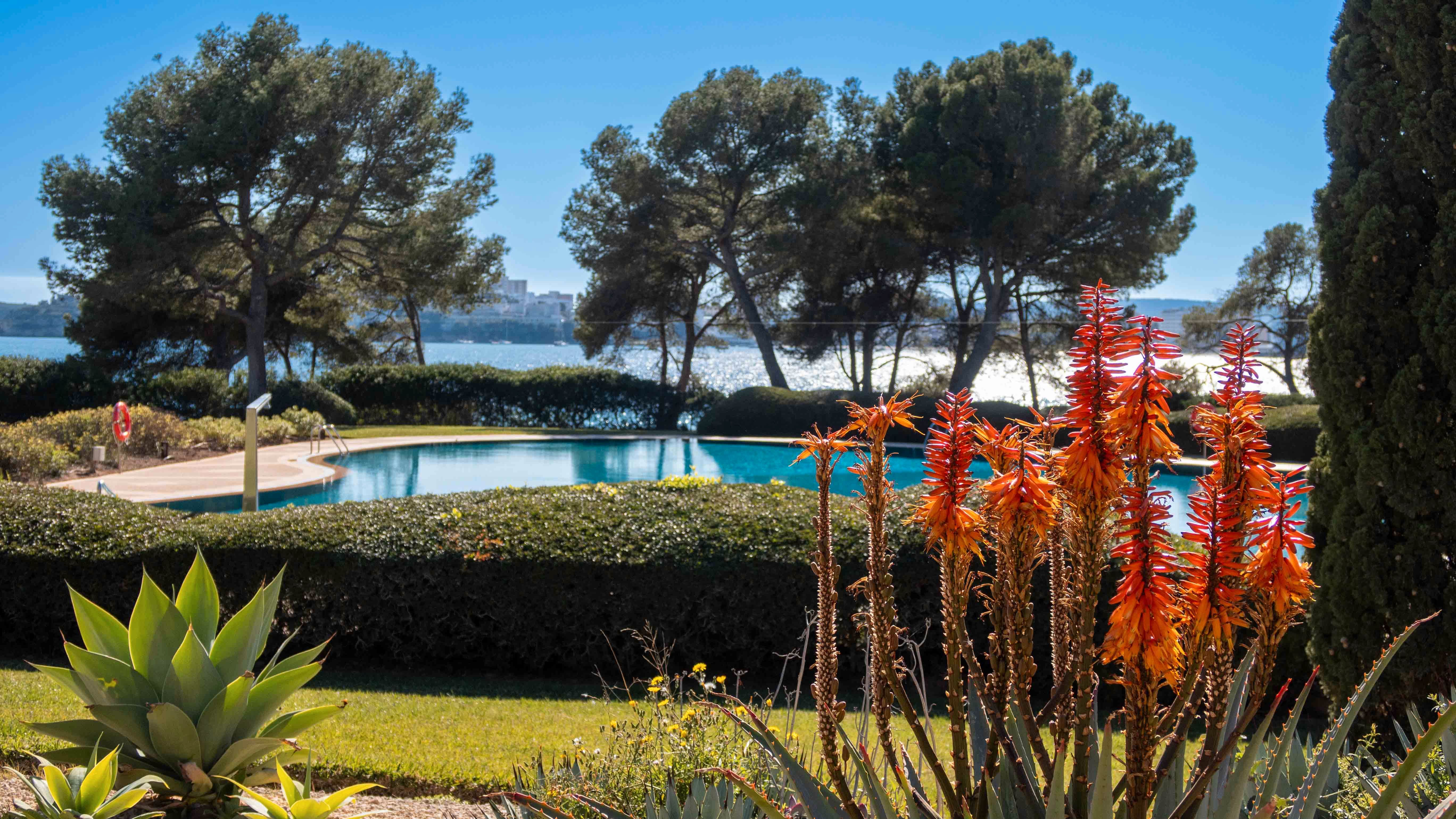 Jardín de Apartamento en venta en Calvià con Aire acondicionado y Piscina comunitaria