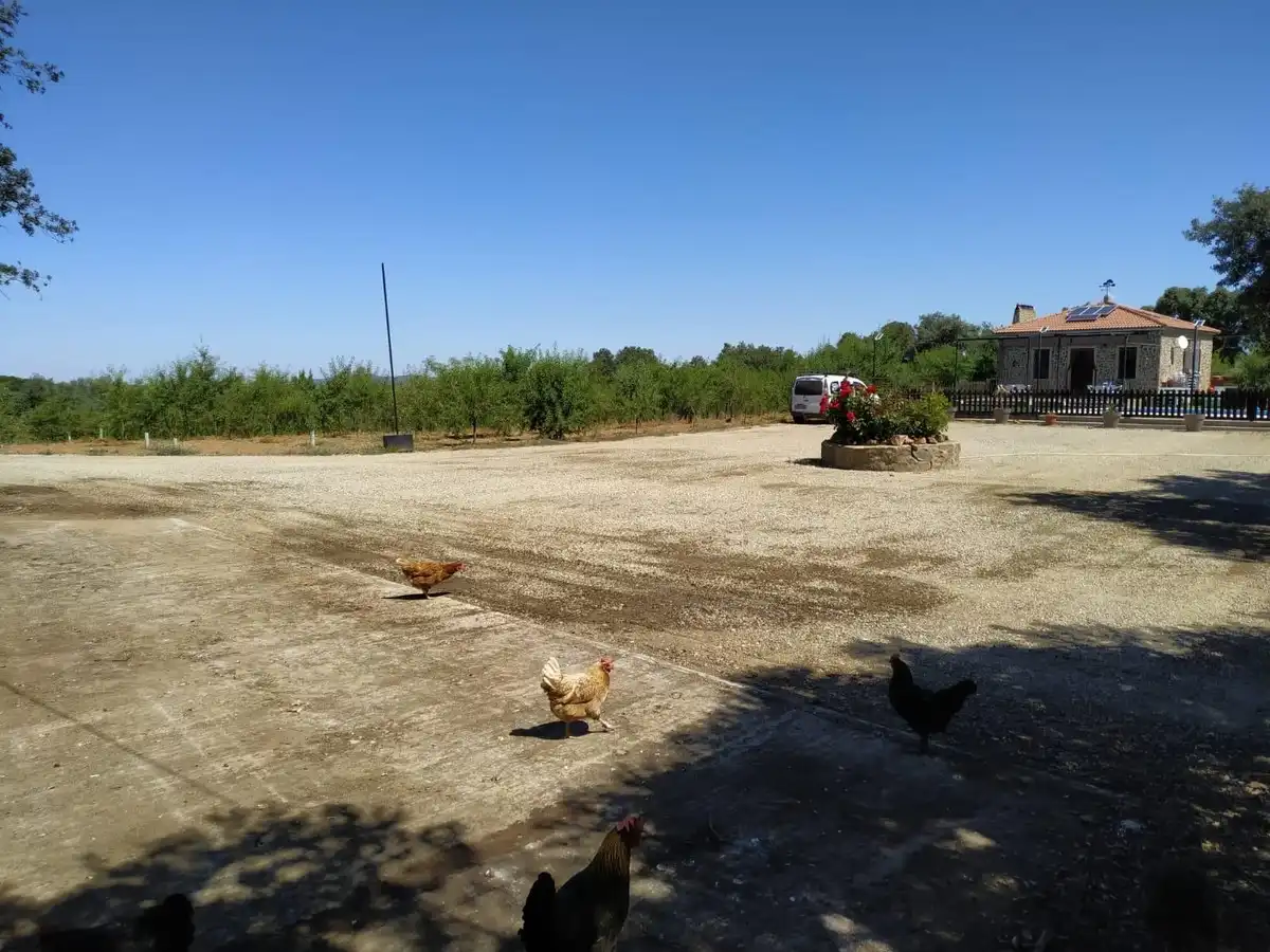 Finca rústica en venta en de la estacion, Cumbres Mayores