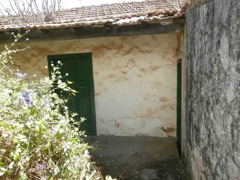 Vista exterior de Finca rústica en venta en Moya (Las Palmas)
