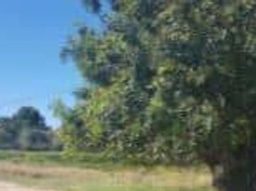 Terreny residencial en venda a Montserrat