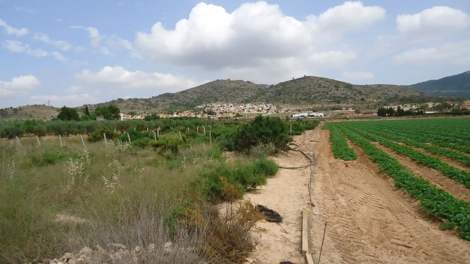Terreno rustico in vendita a Hondón de las Nieves / El Fondó de les Neus, imagen 3