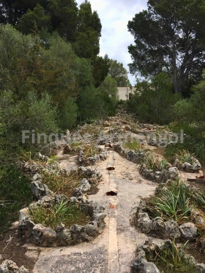 Casa amb jardí en venda a Ciutadella, imagen 18