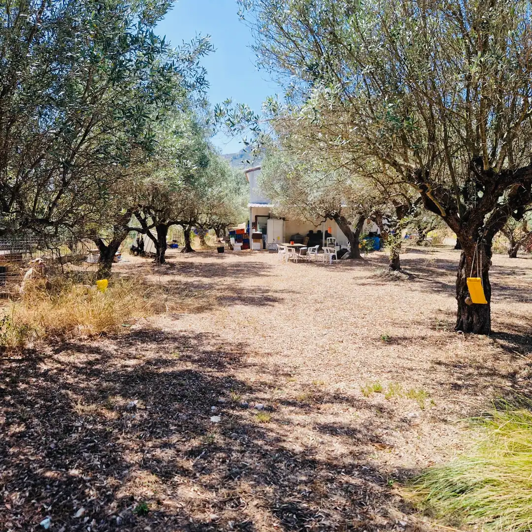 Villa avec jardin à vendre à Parcent, imagen 15