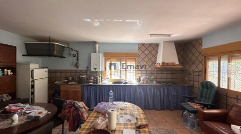 Foto 5 de Finca rústica en venta en Figueroles, Castellón
