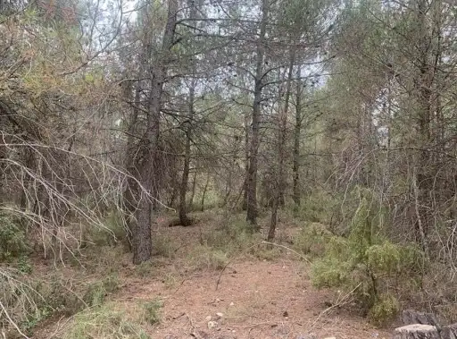 Rustikales Grundstück zum Verkauf in Paraje Fuentecil, imagen 13