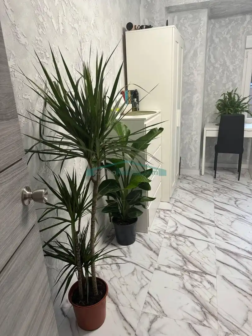 Piso en venta en Mislata con Aire acondicionado y Amueblado