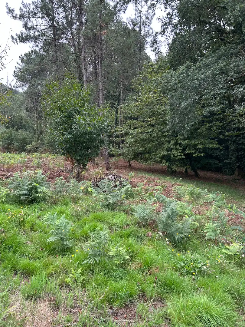 Casa aparellada amb jardí en venda a N/A, imagen 49