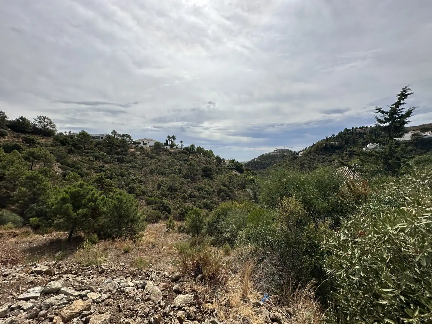 Terreni e lotti in vendita a El Madroñal, imagen 2