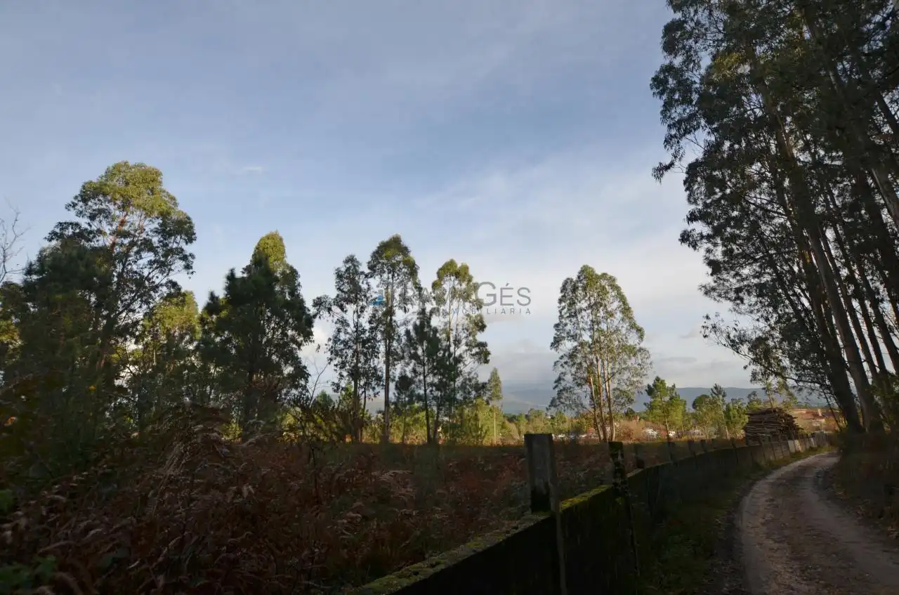 Residential land for sale in LUGAR O MONTE, imagen 36