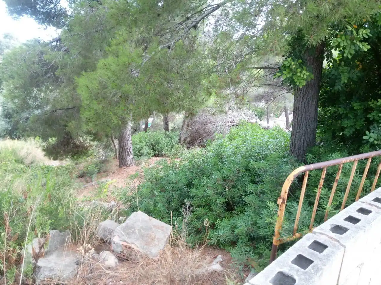 Terreno rustico in vendita a Calle Tulipa, imagen 3