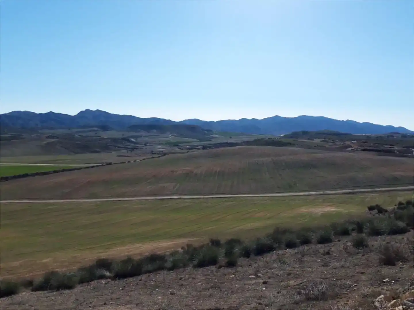 Finca rústica en venda en Totana