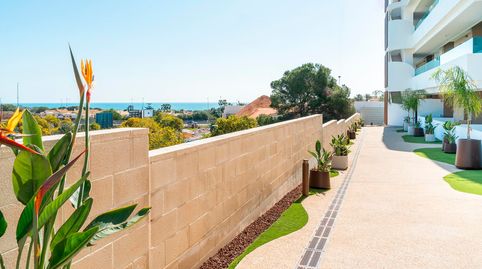 Foto 5 de Apartamento en venta en Playa Flamenca, Orihuela