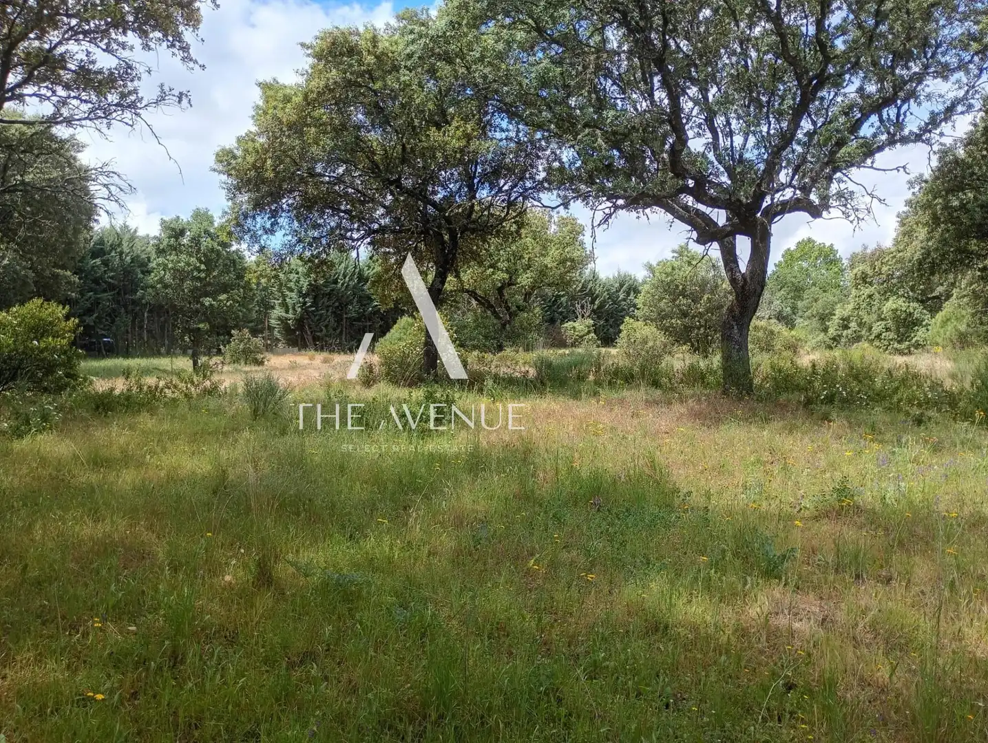 Terreno residencial en venta en Calle Enebros, imagen 3