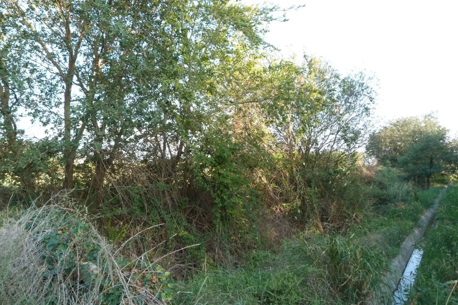 Terreny rústic en venda a Poligono 5 Parcela 66 La Closa Garriguella, imagen 3
