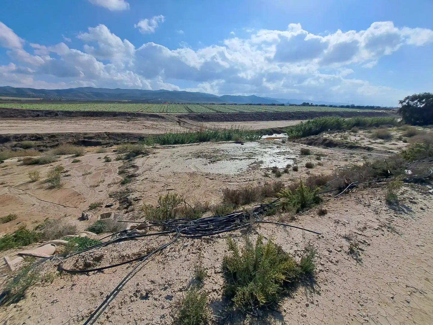 Casa o chalet en venta en Marchena