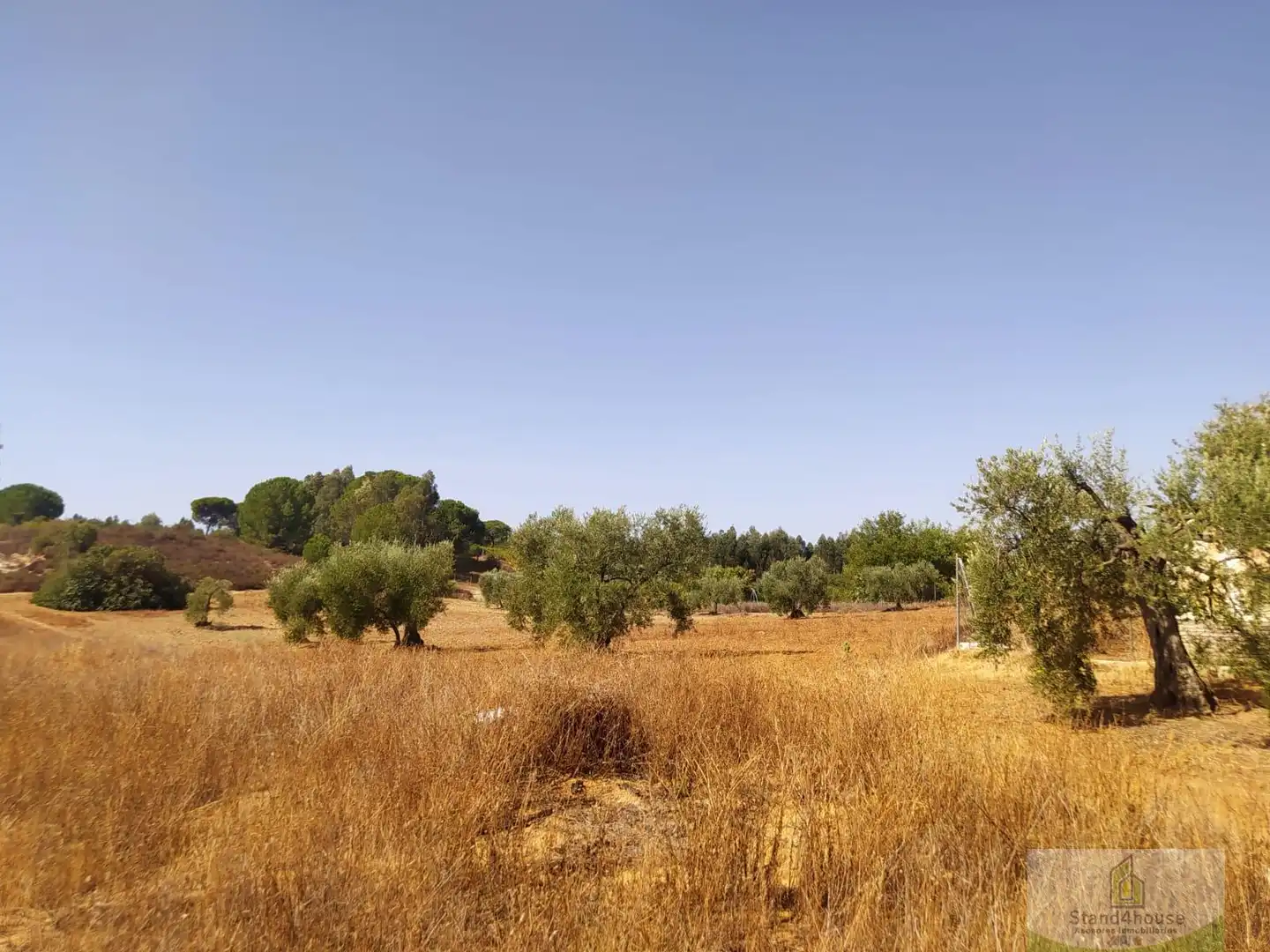 Finca rústica en venda a Villarrasa