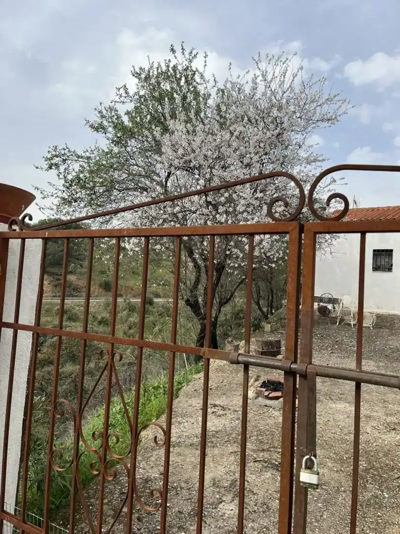 Jardí de Finca rústica en venda en Pozoblanco amb Jardí privat, Piscina i Balcó