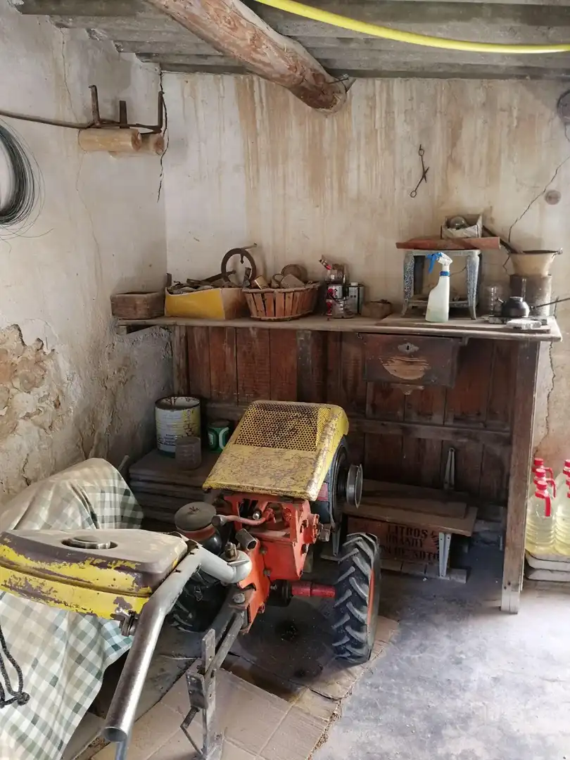 Casa o xalet en venda en Blanca amb Jardí privat