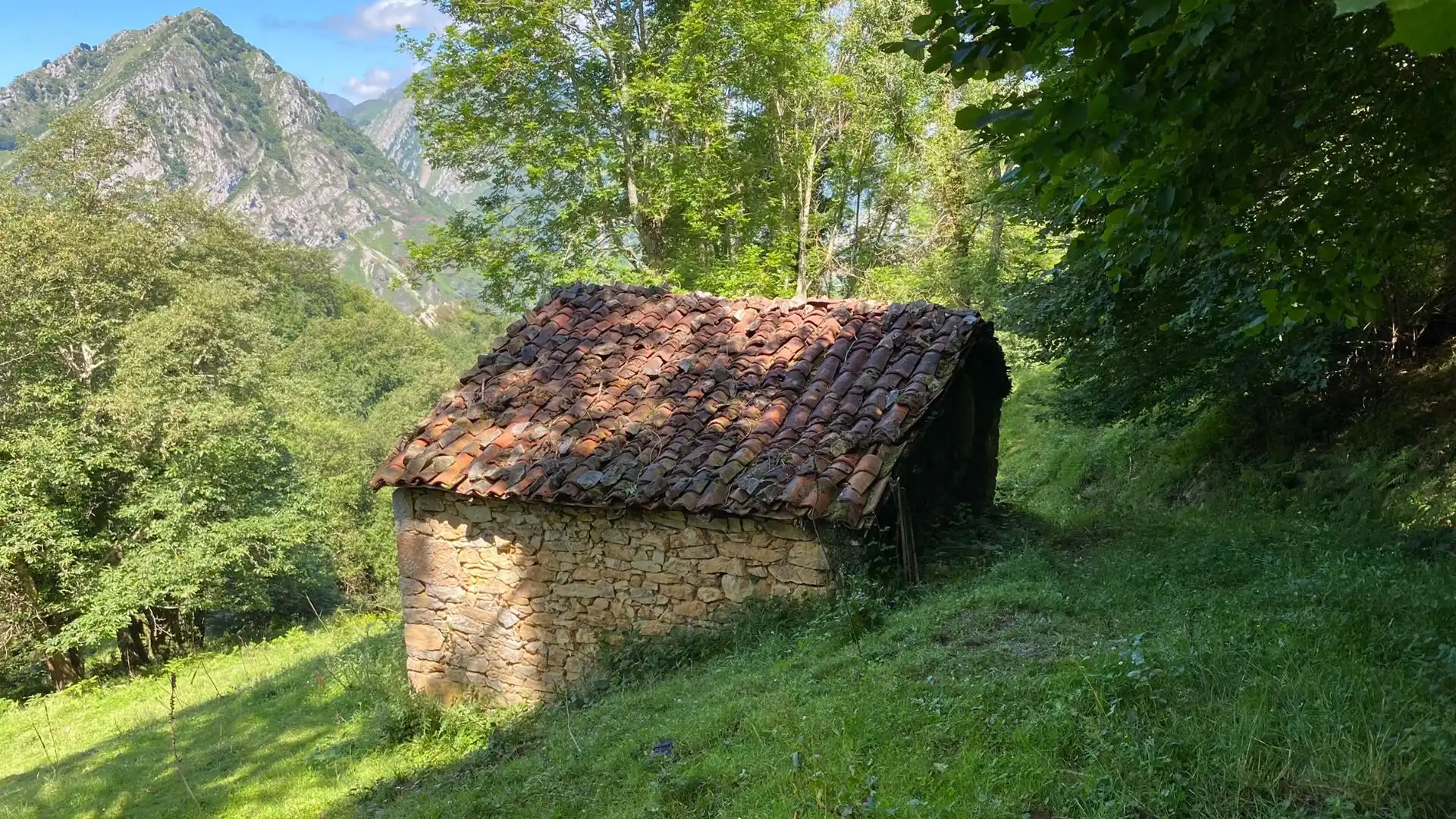 Terreno en venta en PRIESCA, Ponga