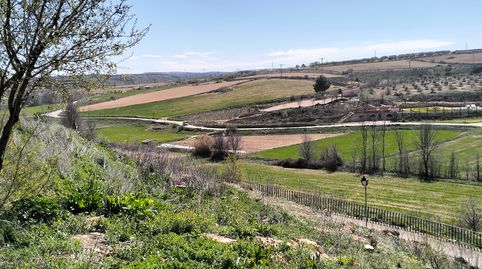 SOLAR EN MUNERA – UBICACIÓN PRIVILEGIADA Y VISTAS INMEJORABLES, imatge 4
