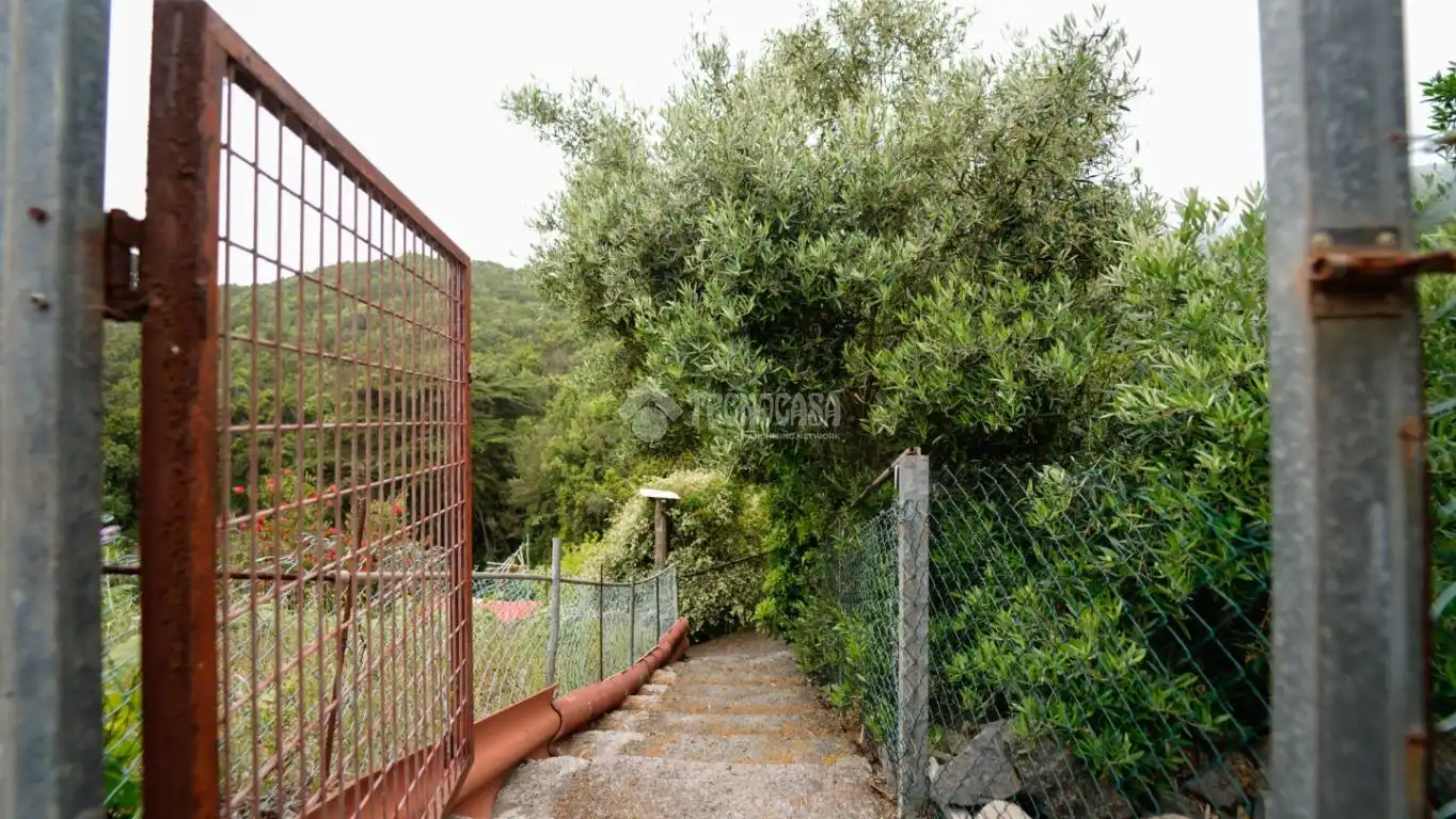 Jardín de Finca rústica en venta en Agulo