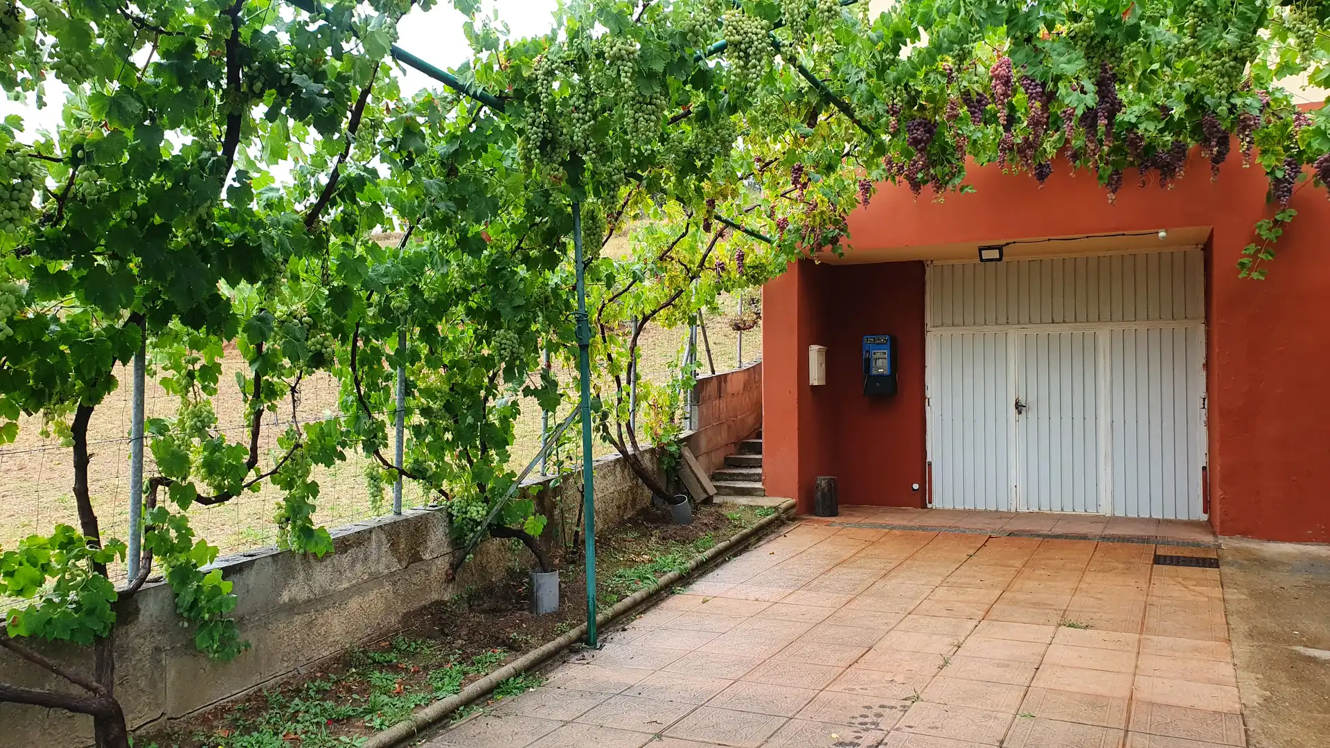 Jardín de Casa o chalet en venta en Vega de Espinareda con Calefacción, Jardín privado y Terraza