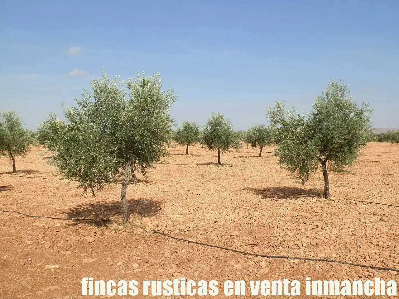 Terreno rústico en venta en Moral de Calatrava, imagen 21