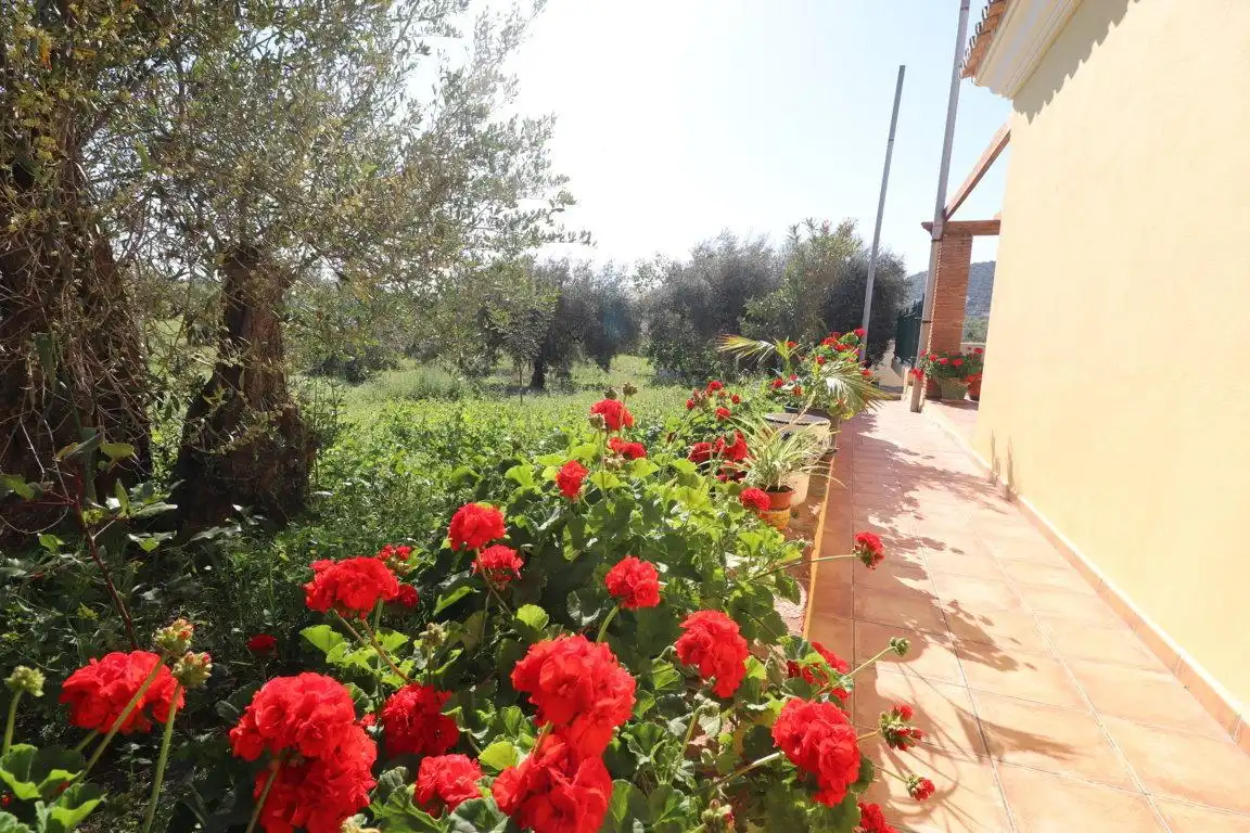 Garden of Houses for rent in Coín  with Private garden, Terrace and Swimming Pool