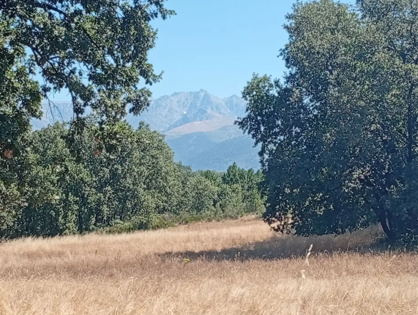 Terreni e lotti in vendita a Villanueva de la Vera, imagen 47