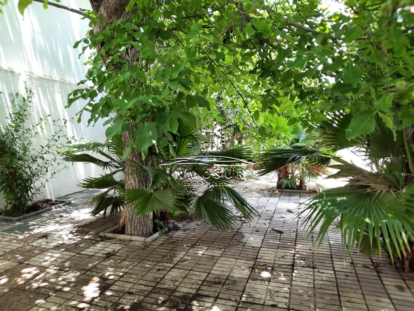 Maison avec piscine à vendre à Centro, imagen 41