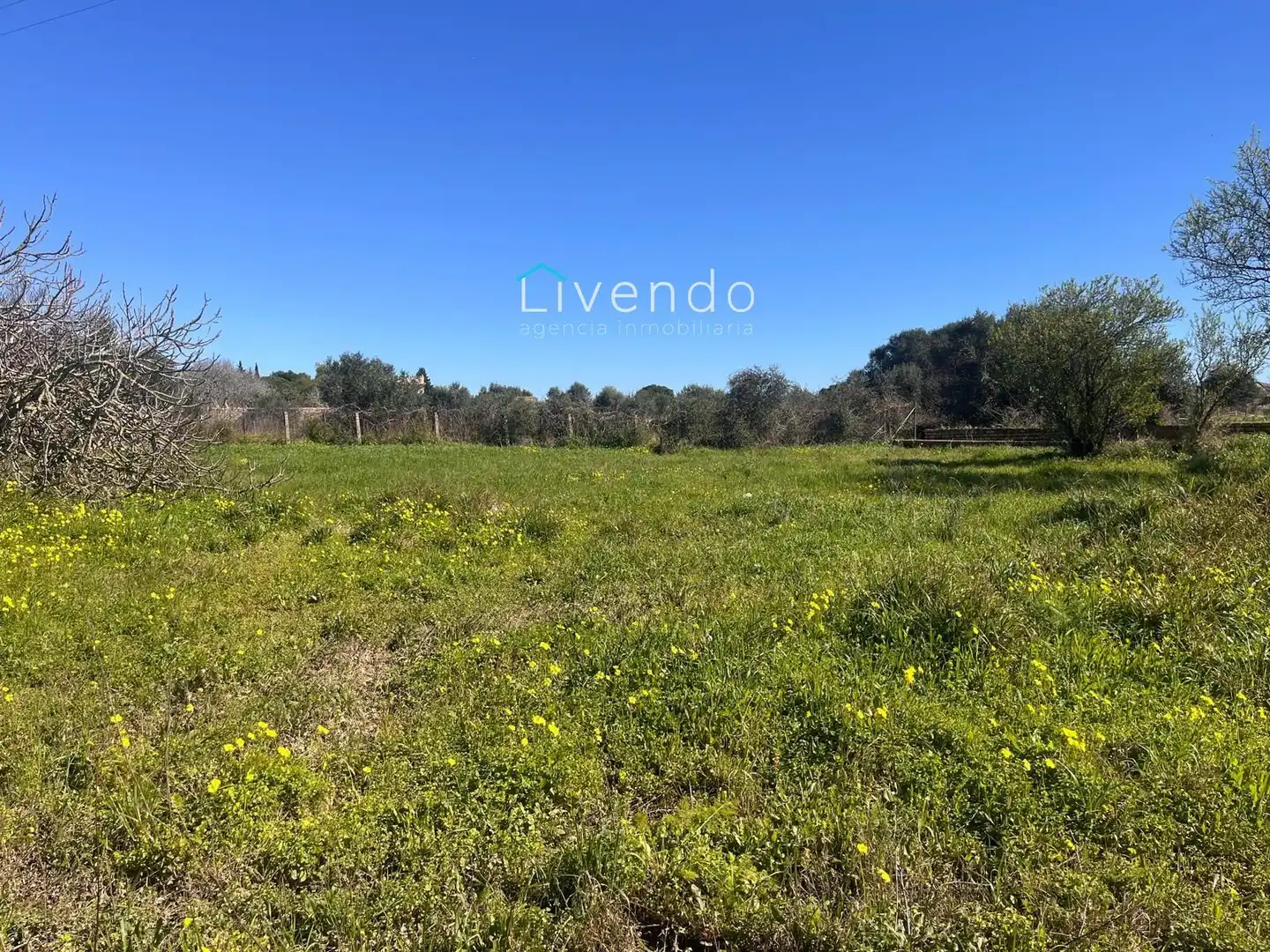 Residential land for sale in Los Franceses – La Vega, imagen 8