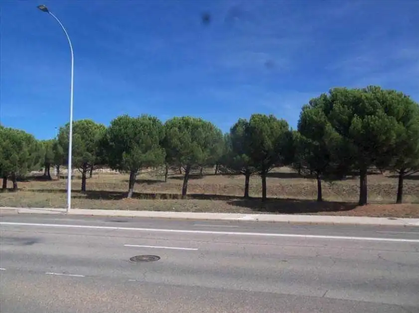 Terreni e lotti in vendita a San Esteban, imagen 6