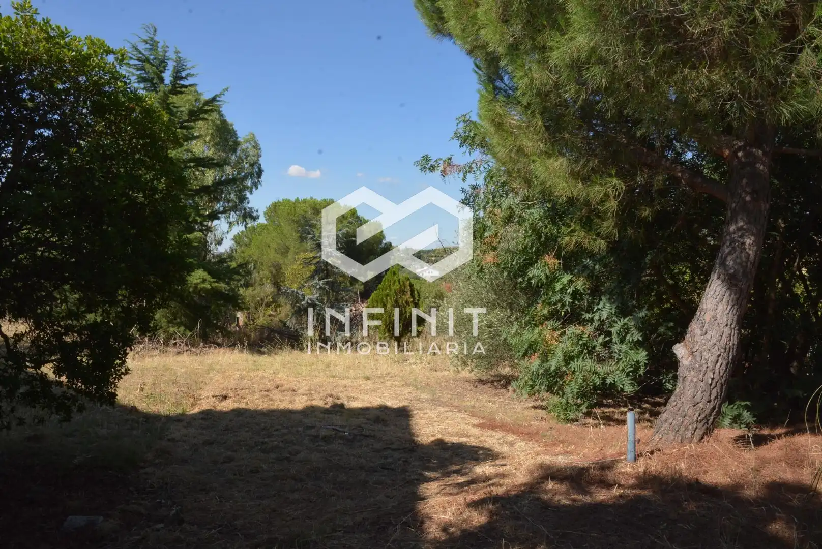Casa o chalet en venta en Ribatejada