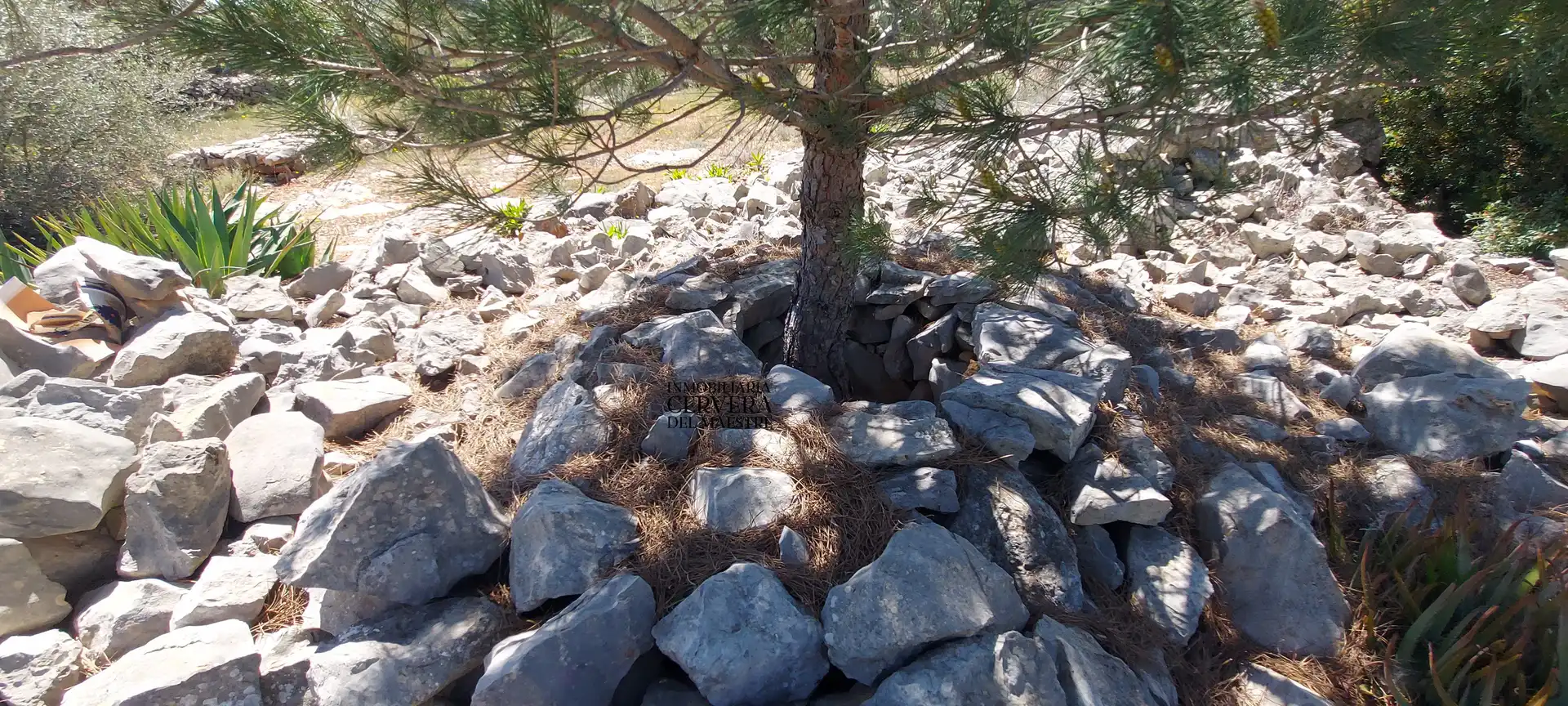 Terreno rustico in vendita a Cervera del Maestre, imagen 29
