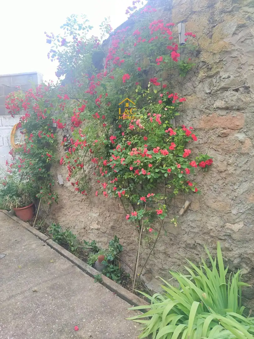Jardí de Casa o xalet en venda en Almazul amb Jardí privat
