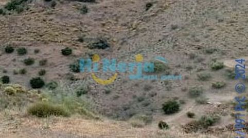 TERRENO RUSTICO EN CANILLAS DE ACEITUNO.