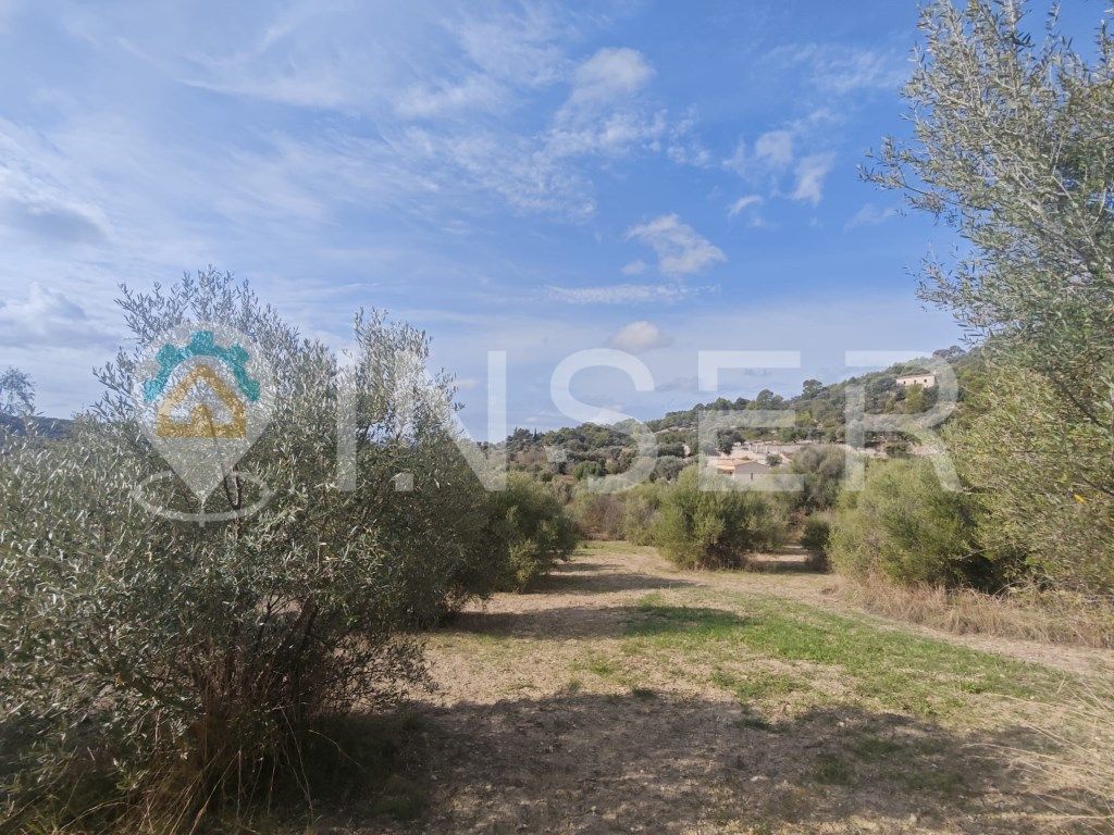 Casa o chalet en venta en Selva