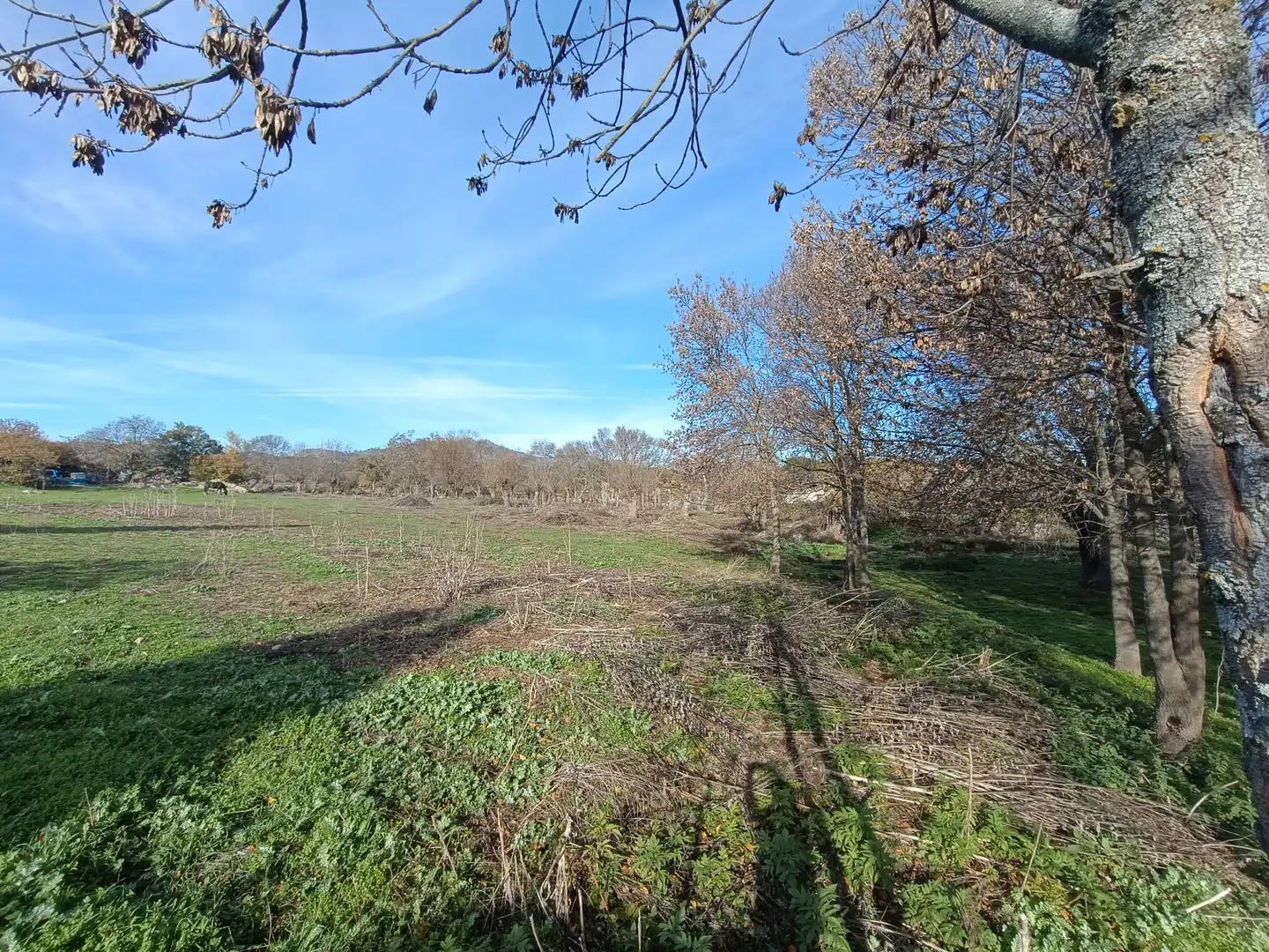 Wohnbaugrundstück zum Verkauf in Colmenar del Arroyo, imagen 8