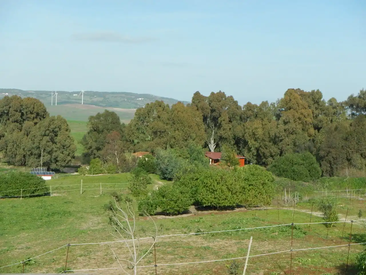 Haus oder Chalet zum Verkauf in Vejer de la Frontera mit Heizung, Privatgarten und Parkett