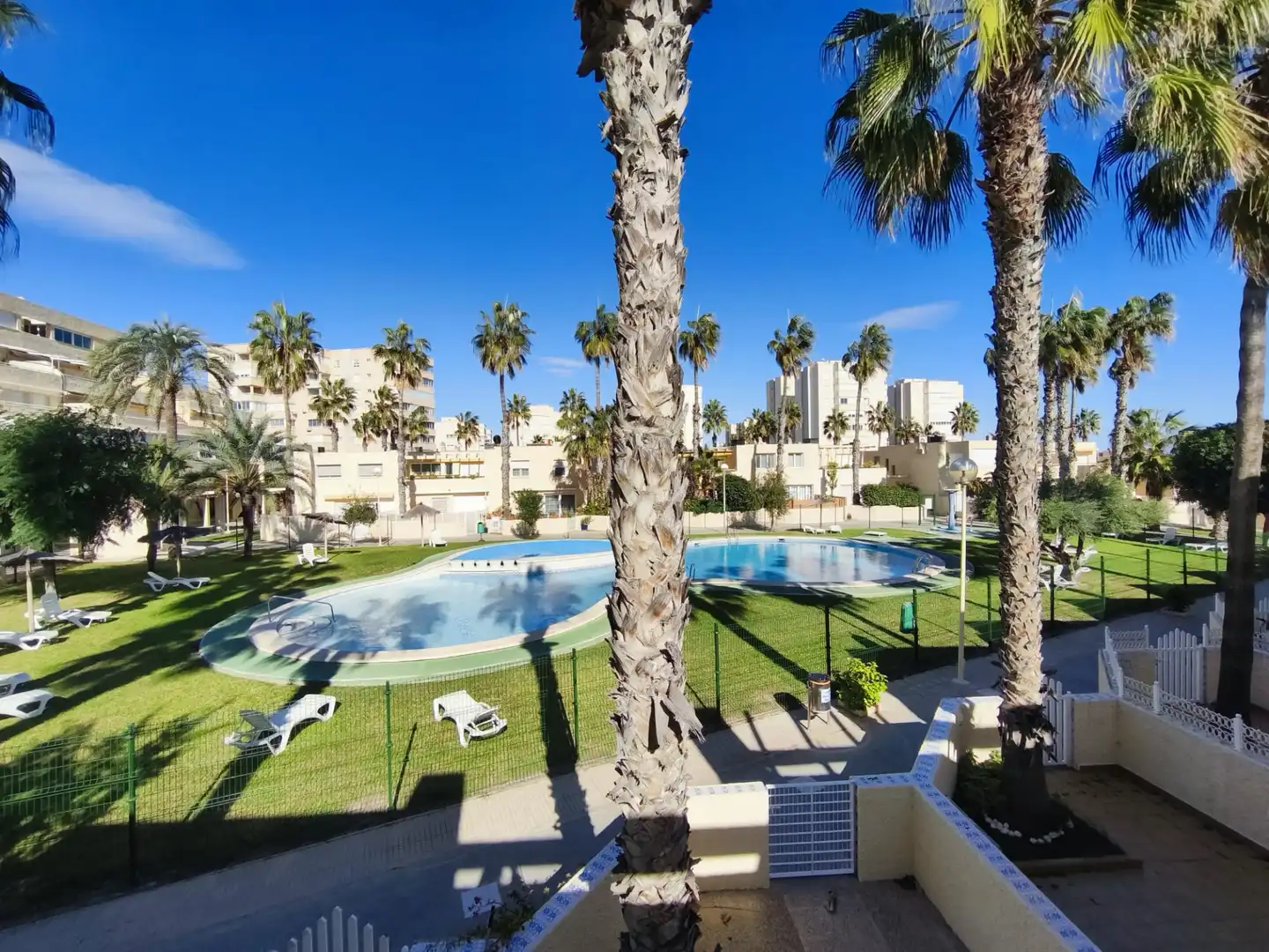 Swimming pool of Houses for sale in Alicante / Alacant  with Private garden, Terrace and Community pool
