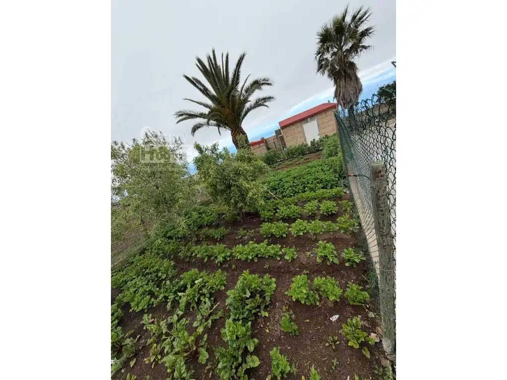 Finca rústica en venda en Adeje amb Aire condicionat, Terrassa i Piscina