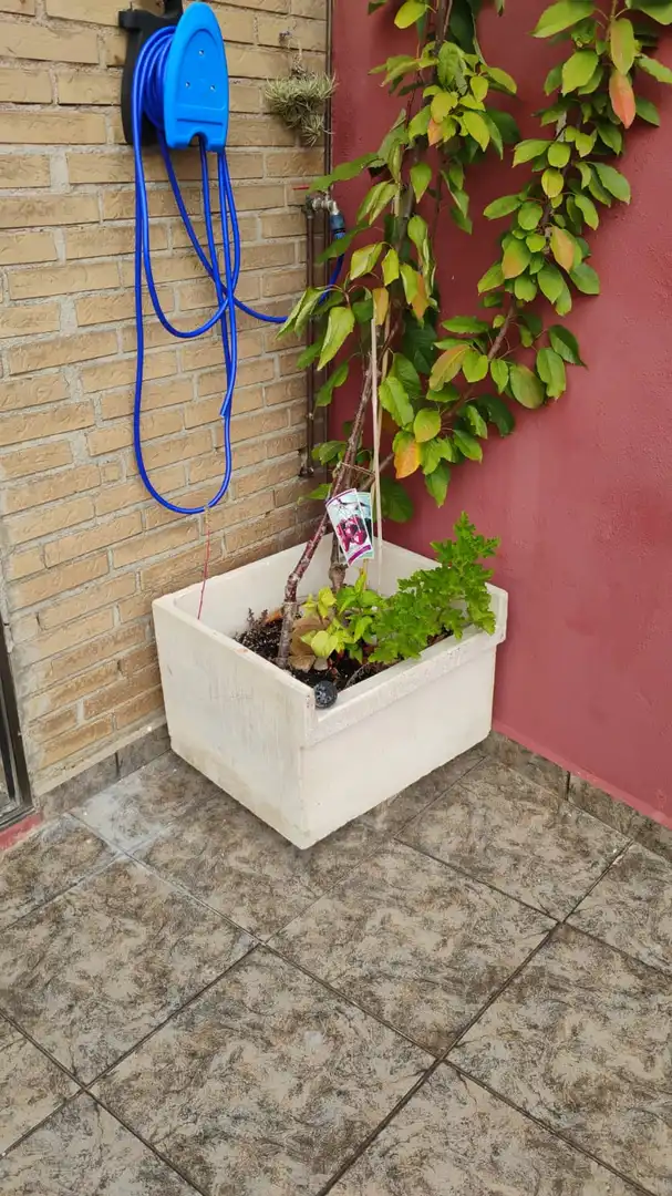 Maison mitoyenne à vendre à La Torre d'en Doménec, imagen 10