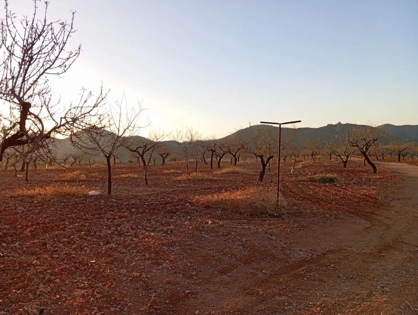 Houses for sale in Bejar