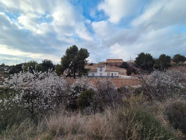 Casa-chalet en Venta en Aledo