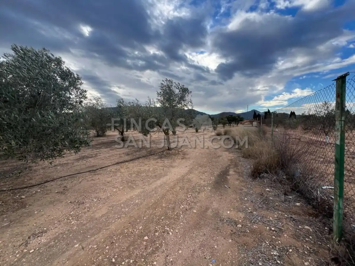 Country homes for sale in Biar