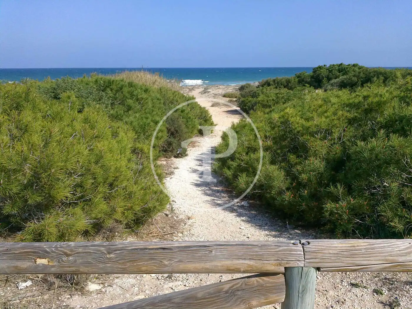 Vista exterior de Pis en venda en Elche / Elx amb Aire condicionat, Calefacció i Jardí privat