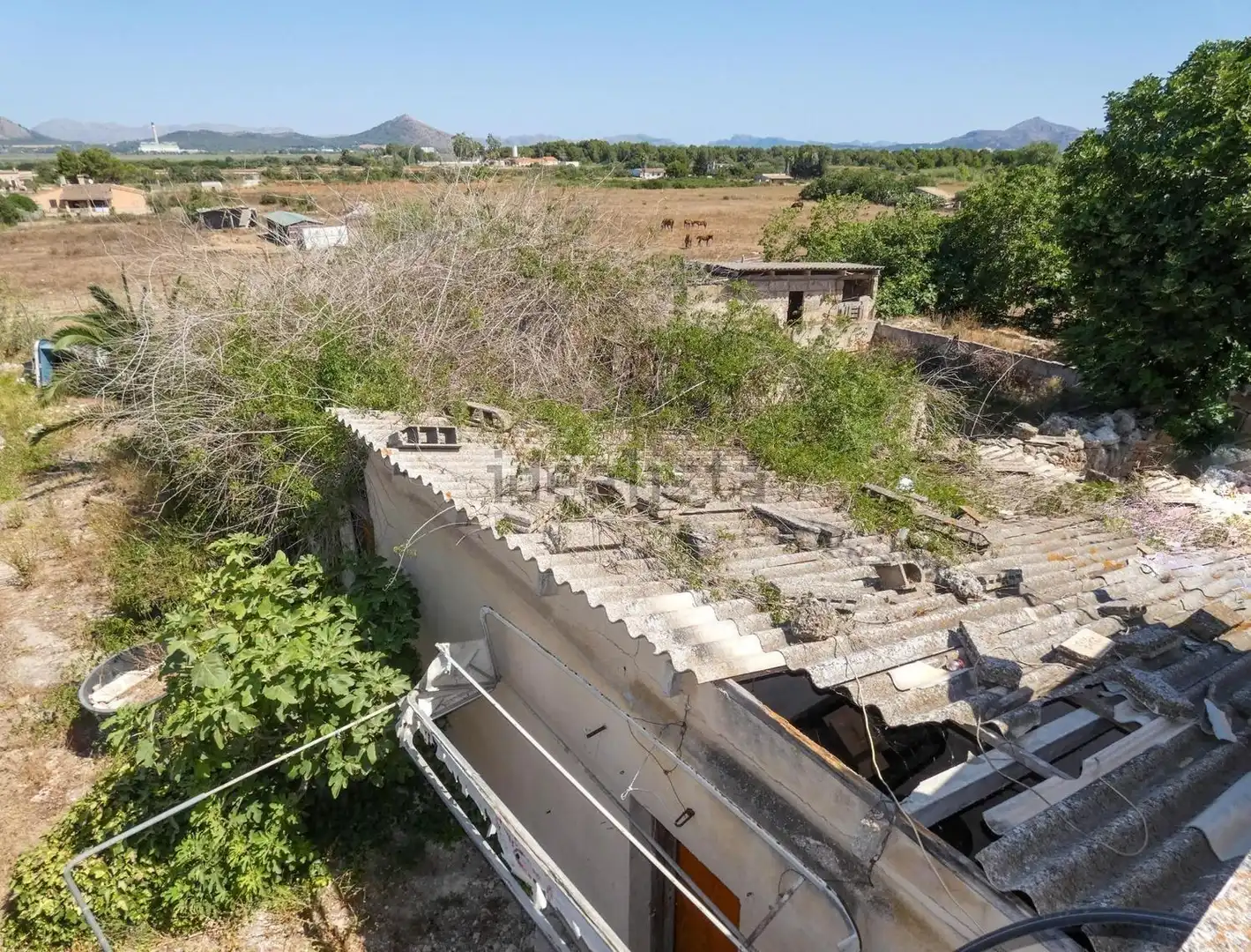 Maison rustique avec piscine à vendre à Muro, imagen 23