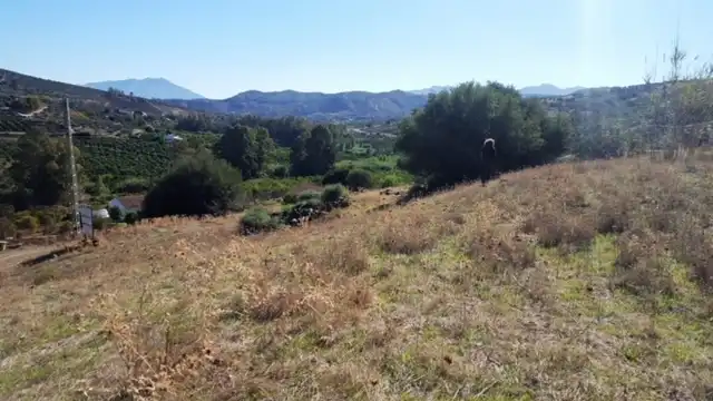 Terreni e lotti in vendita a Avenida de San Roque, imagen 15