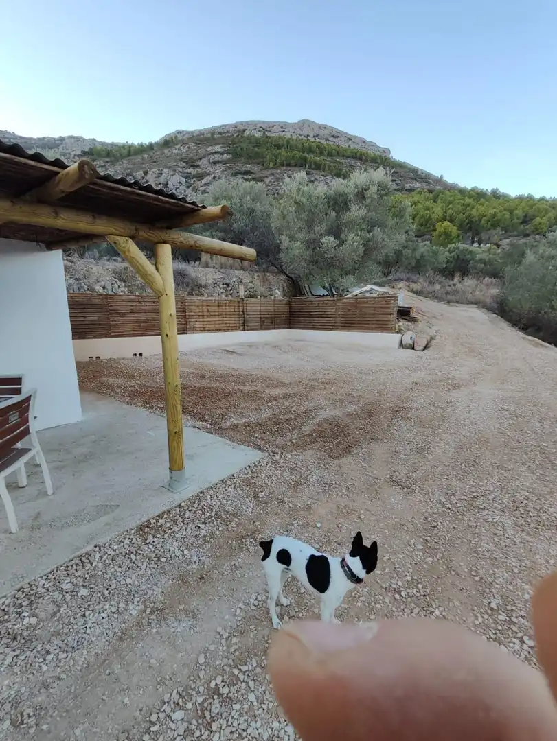 Casa o chalet en venta en Xaló