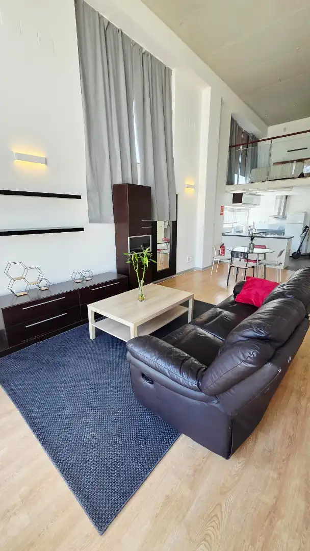 Lofts for sale in Carrer de la Creu Roja, Vara de Quart
